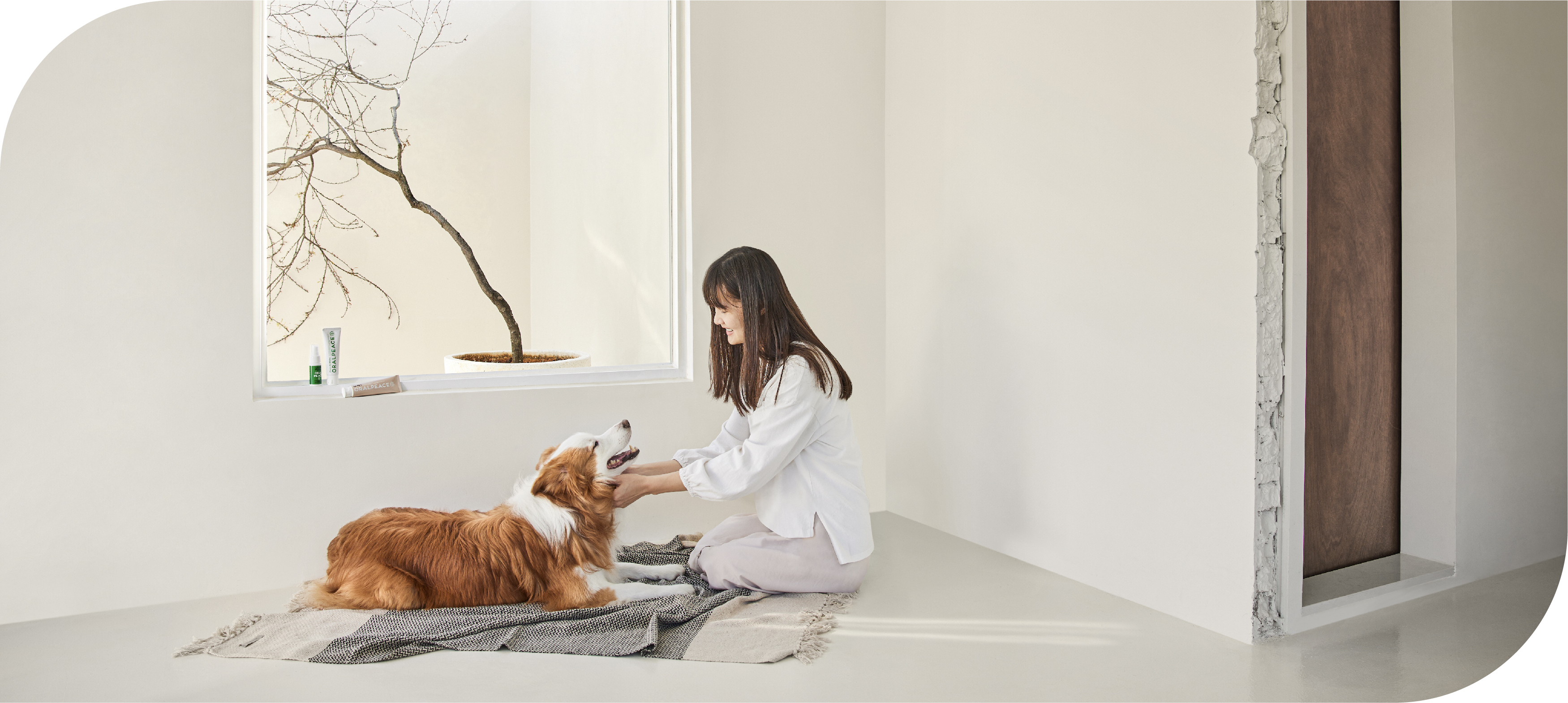 團隊有寵物植療、行為學、營養學等背景，進行寵物專業選品