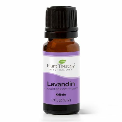 Plant Therapy 醒目薰衣草 Lavandin 精油（兒童安全） - 10 ml