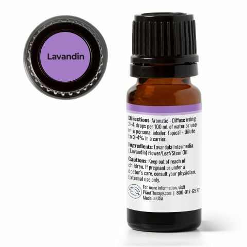 Plant Therapy 醒目薰衣草 Lavandin 精油（兒童安全） - 10 ml