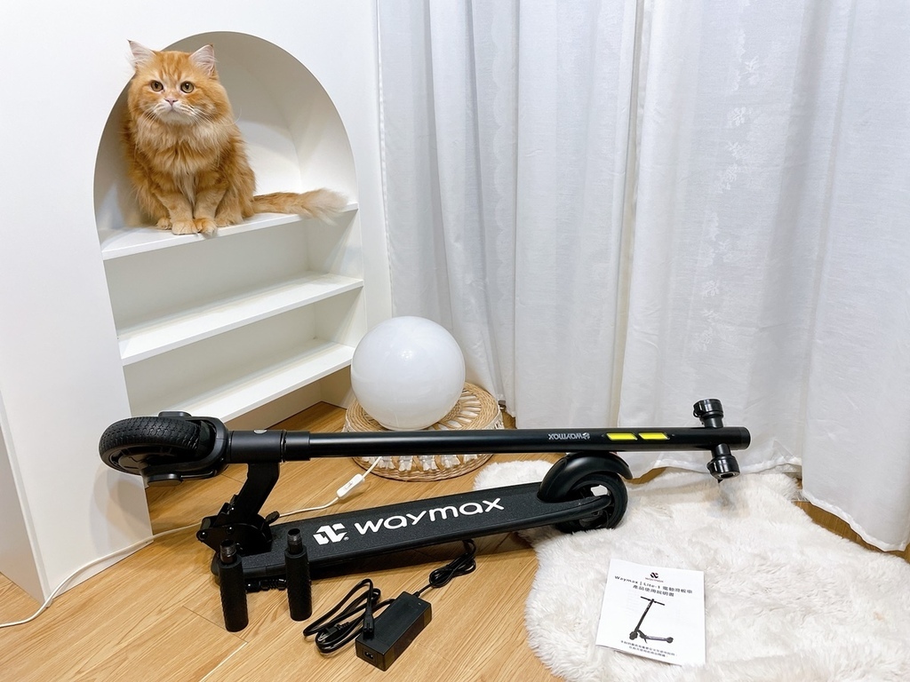 橘色長毛貓咪的隔壁有一台折疊起來的黑色Waymax Lite-1電動滑板車
