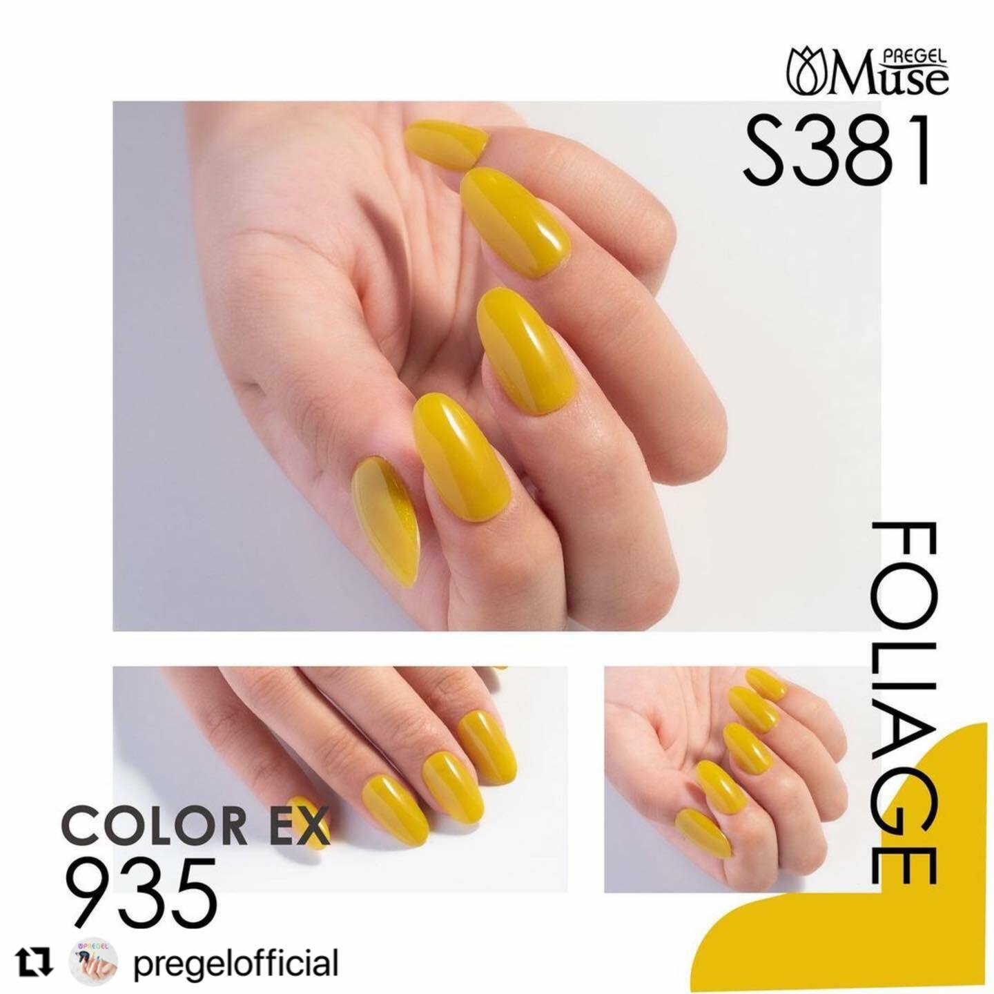 PREGEL - EX 935 (3g)