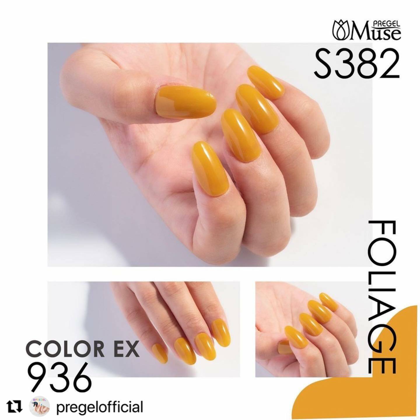 PREGEL - EX 936 (3g)