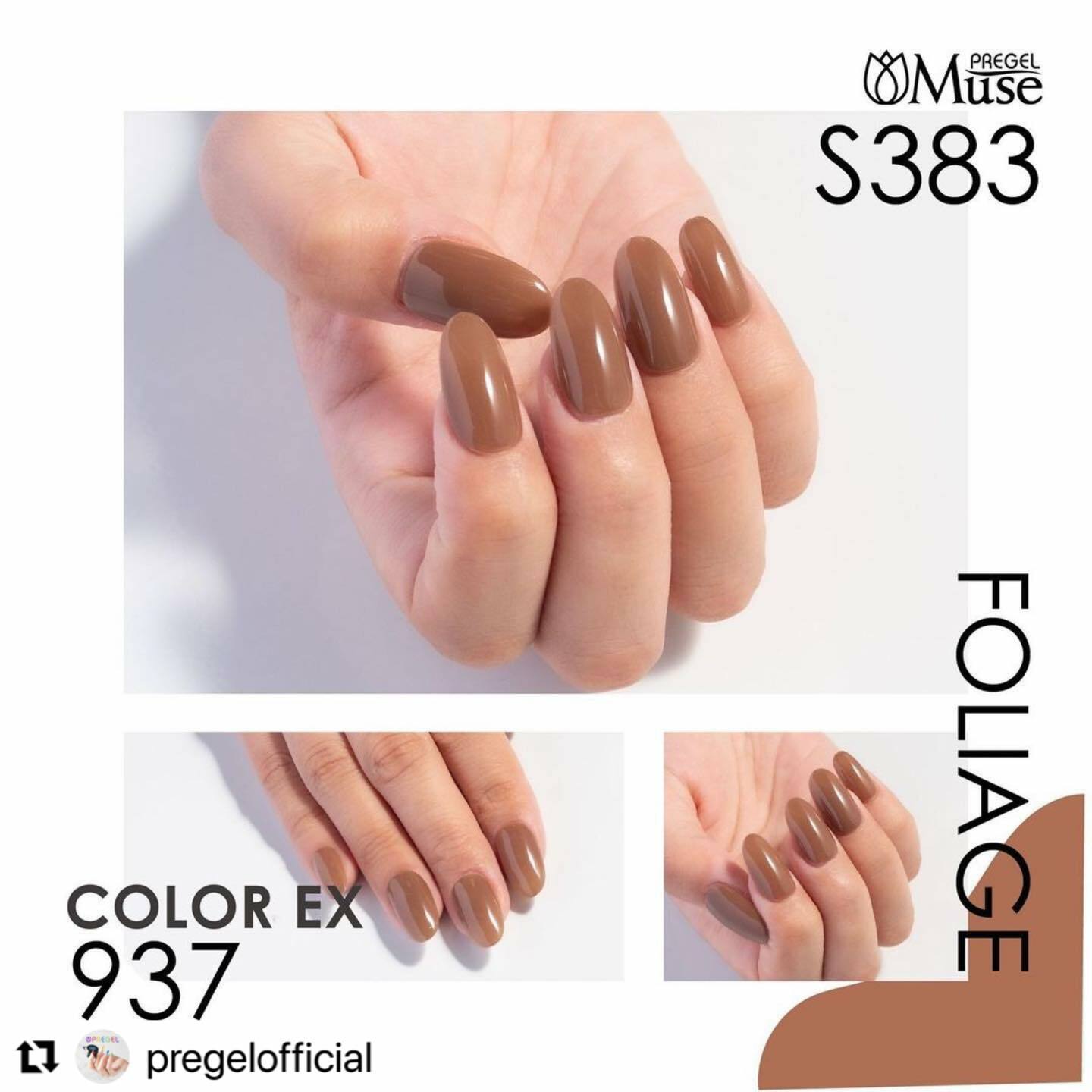 PREGEL - EX 937 (3g)