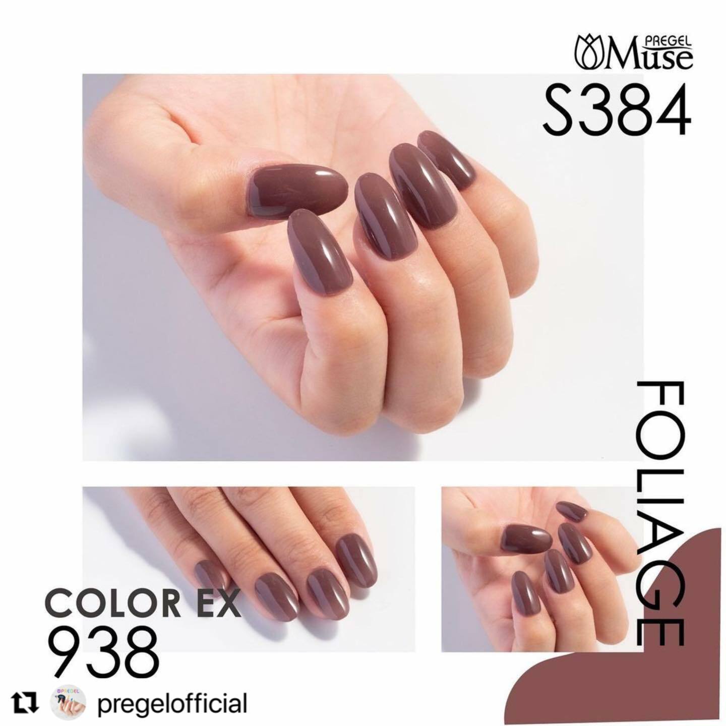 PREGEL - EX 938 (3g)