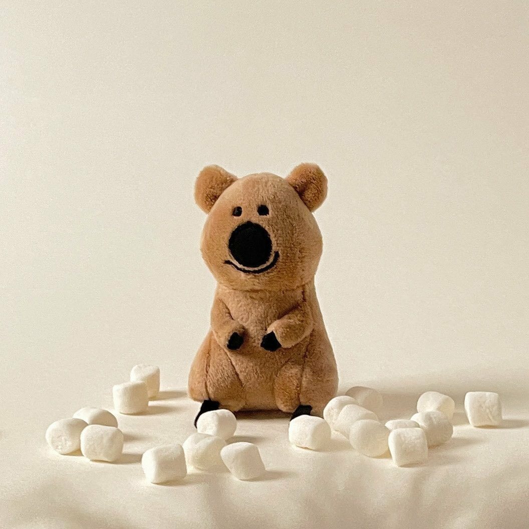 （現貨）Dinotaeng Quokka keyling 鑰匙圈 吊飾