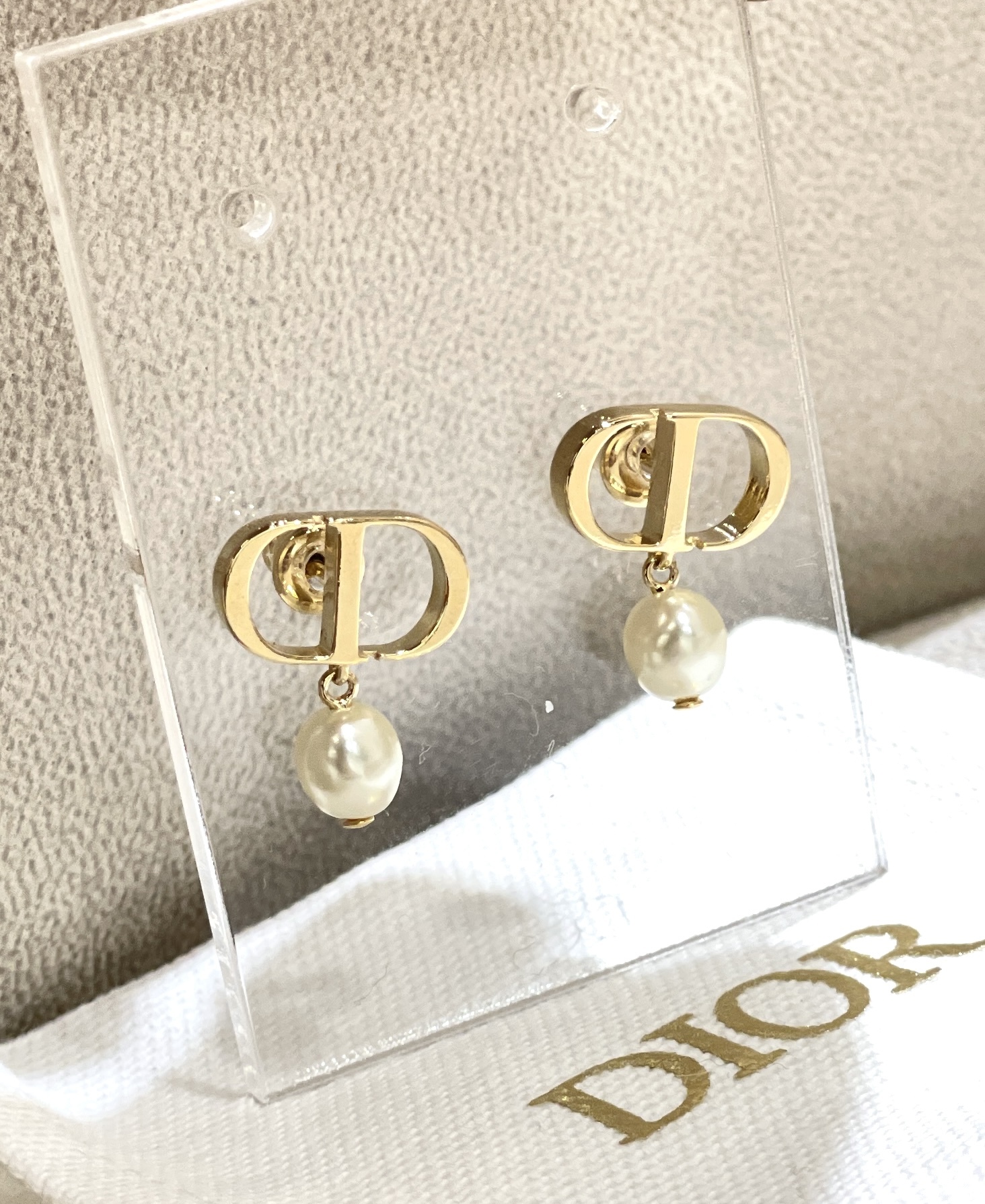 DIOR Petit CD Earrings E1520