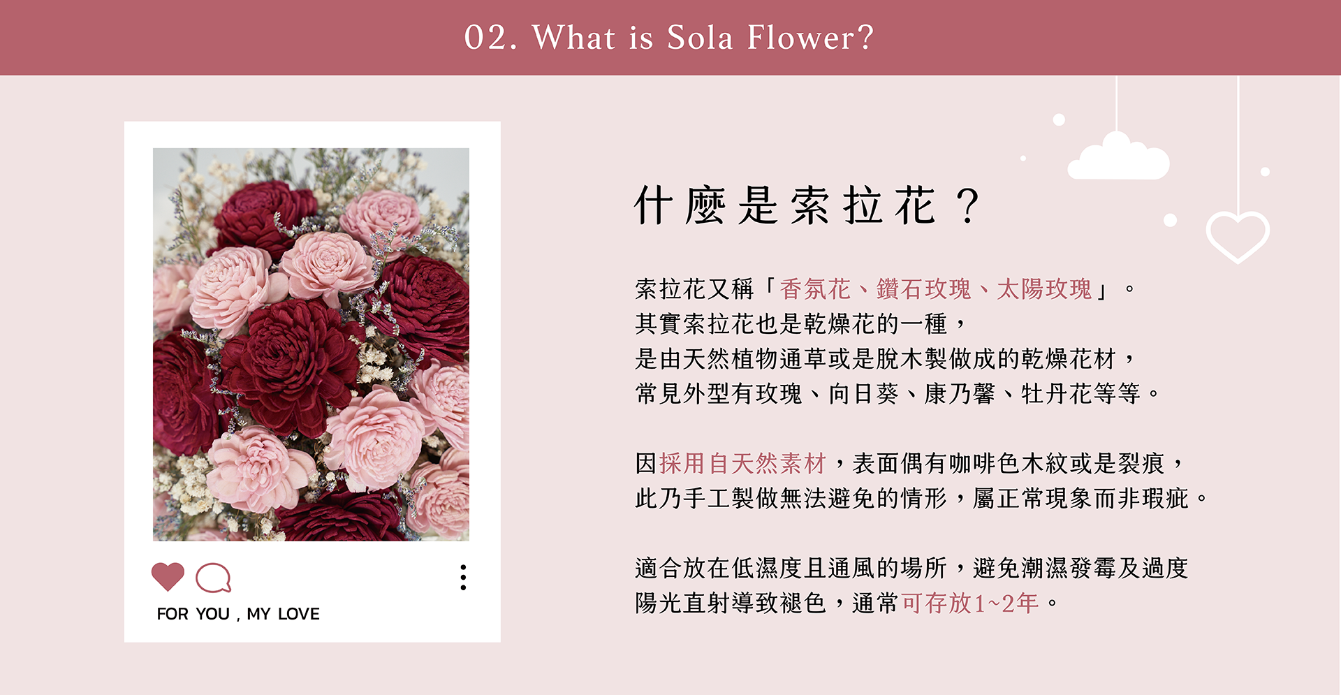 新竹乾燥花店小薇花藝向你介紹什麼是索拉花？什麼是香氛花？它們和天然乾燥花有什麼不同？