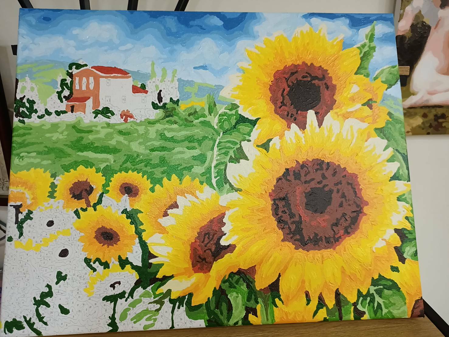 【DT172】盛夏季節