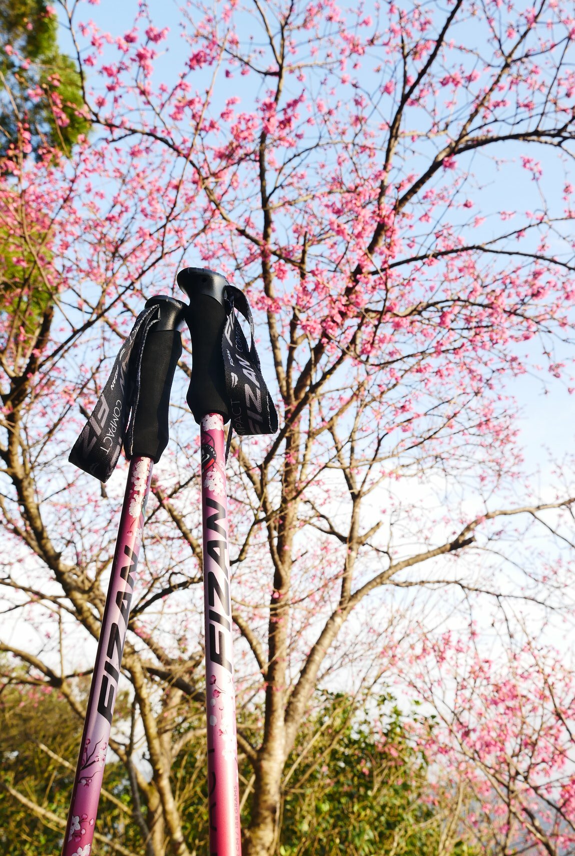 FIZAN 超輕三節式健行登山杖2入特惠組