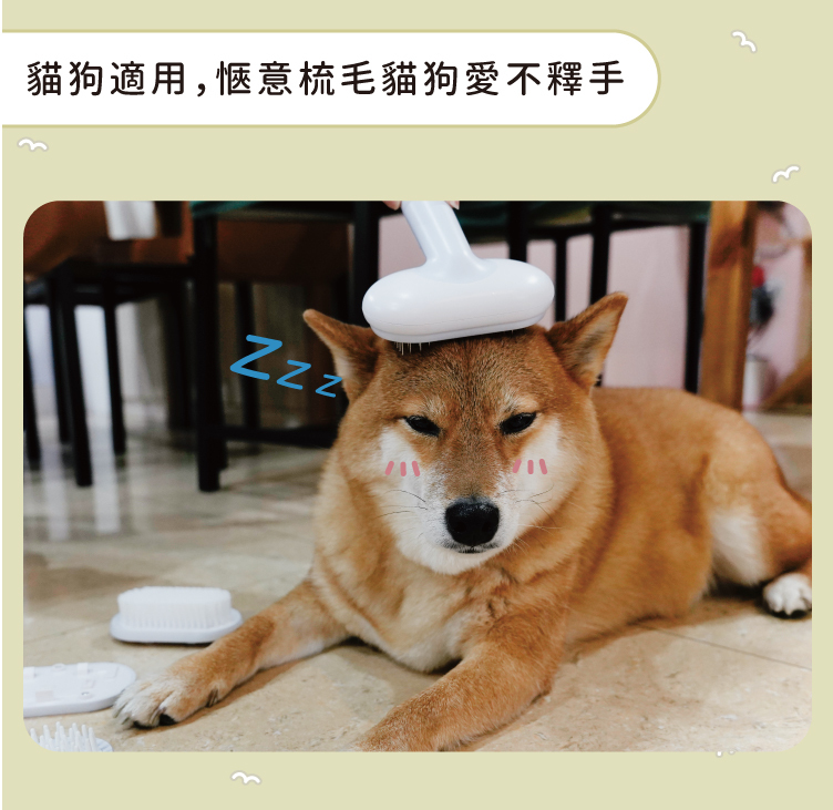 貓狗兔寵物適用 愜意居家梳毛理毛整毛