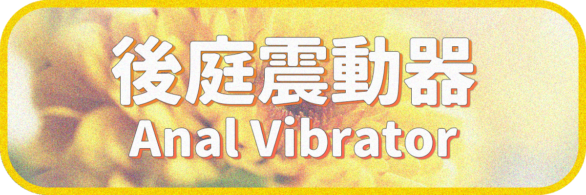 後庭震動器