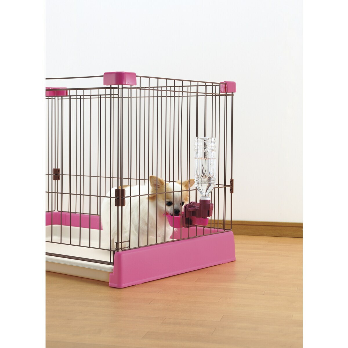 Richell Water Nozzle 碗型飲水器 S．2色