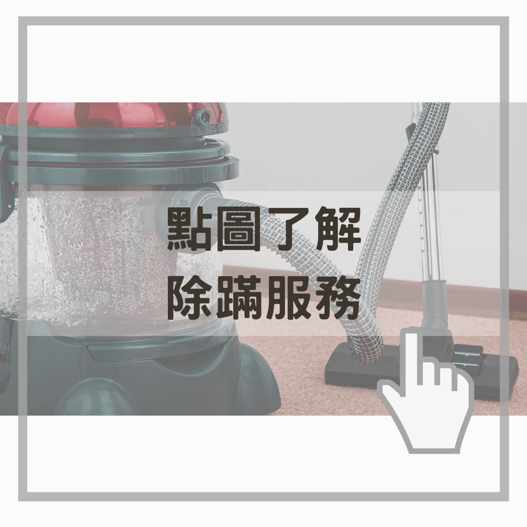 點圖進入除蹣服務