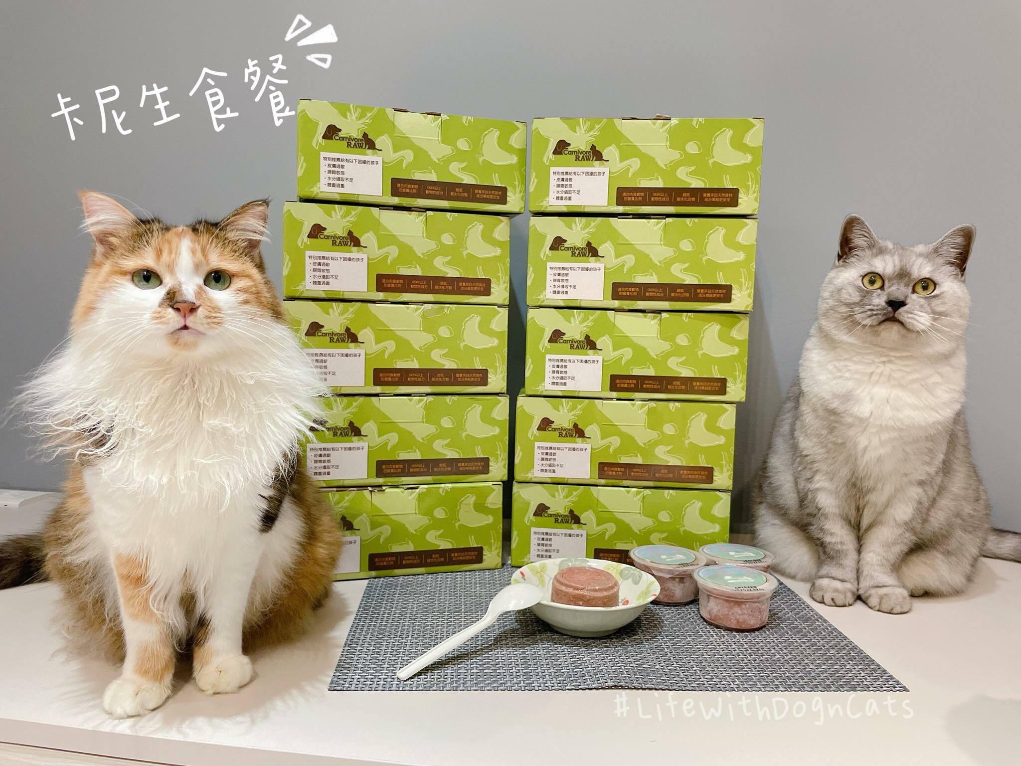 食物神偷Mika小姐