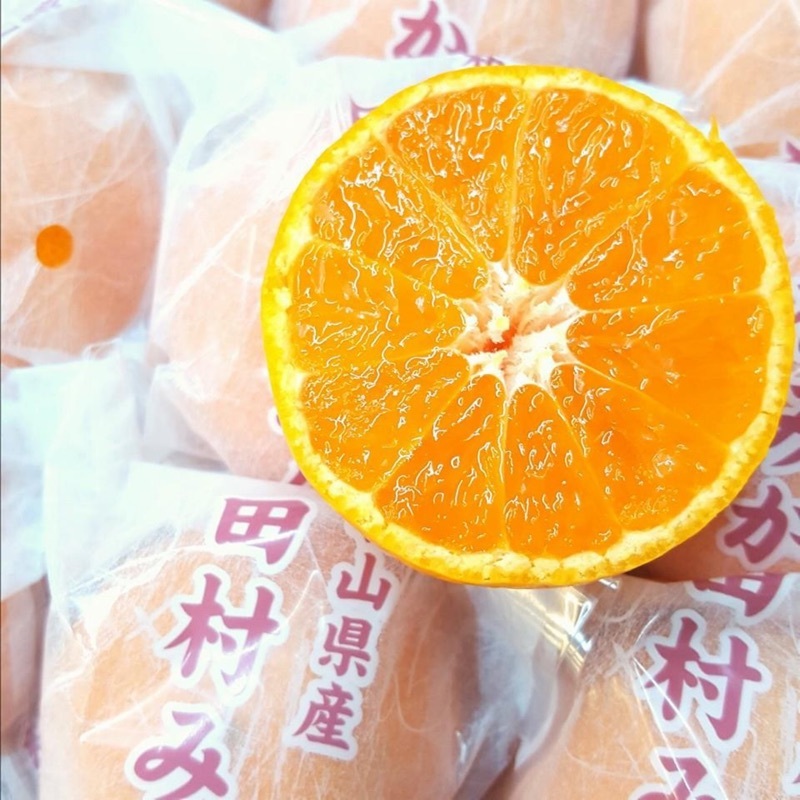 和歌山田村蜜柑禮盒 約1.2kg/盒 (12-15玉)