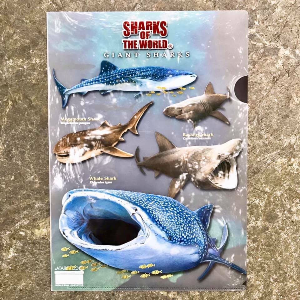 動物圖鑑-A4資料夾