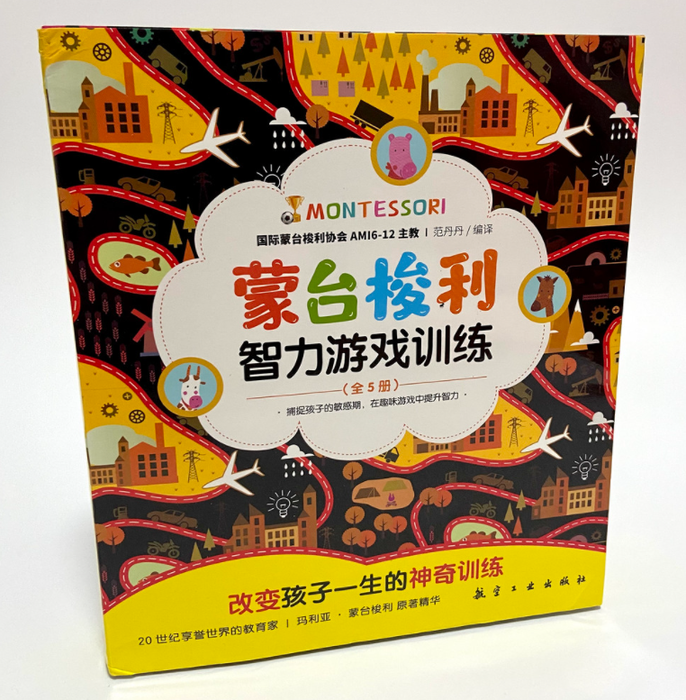 蒙台梭利智力游戏训练（5本）