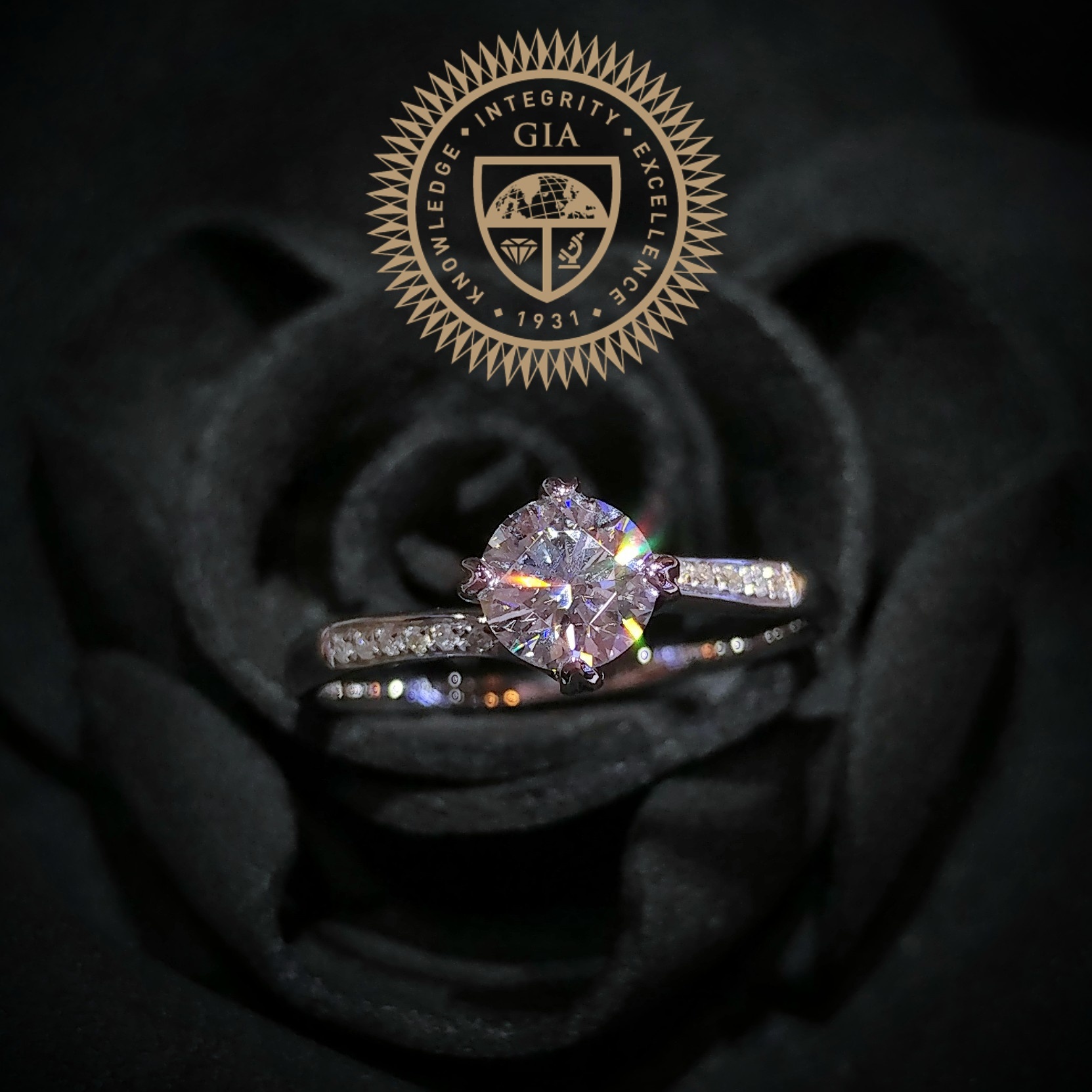 全新18K白金【單粒50份鑽石】配小鑽共54份鑽石戒指