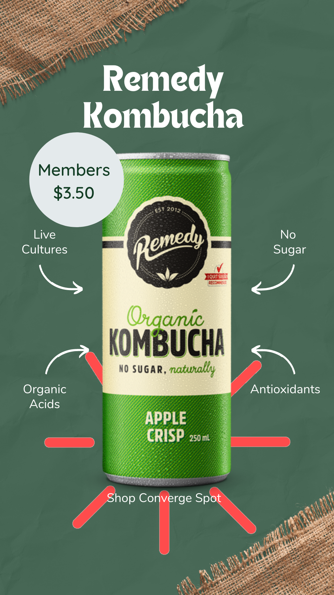 Remedy Kombucha Apple Crisp 250ml Can