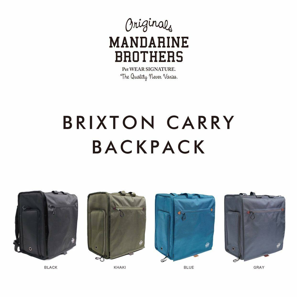 brixton carry backpack