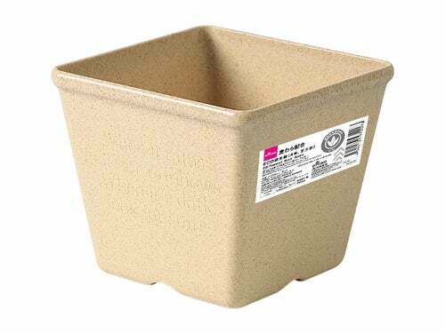 ECO盆栽/12x12x10cm