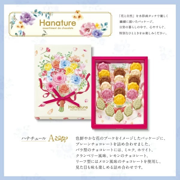 日本直送 2022 Hanature 雜錦朱古力禮盒