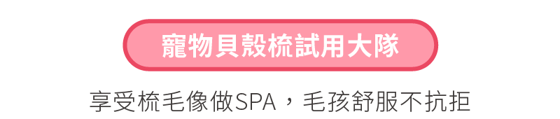 貝殼梳試用大隊