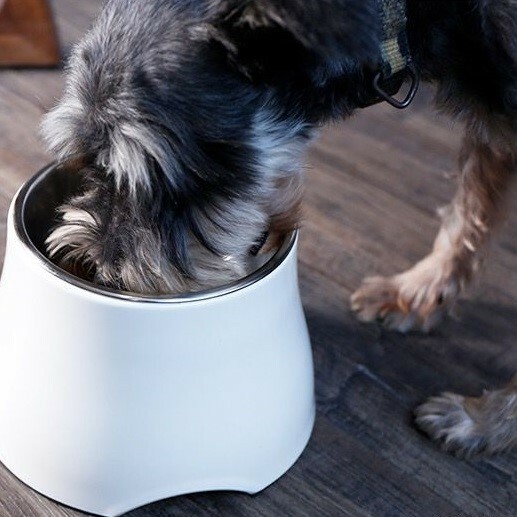 Super 密胺高鋼碗 S~L．顏色隨機（家居用品）