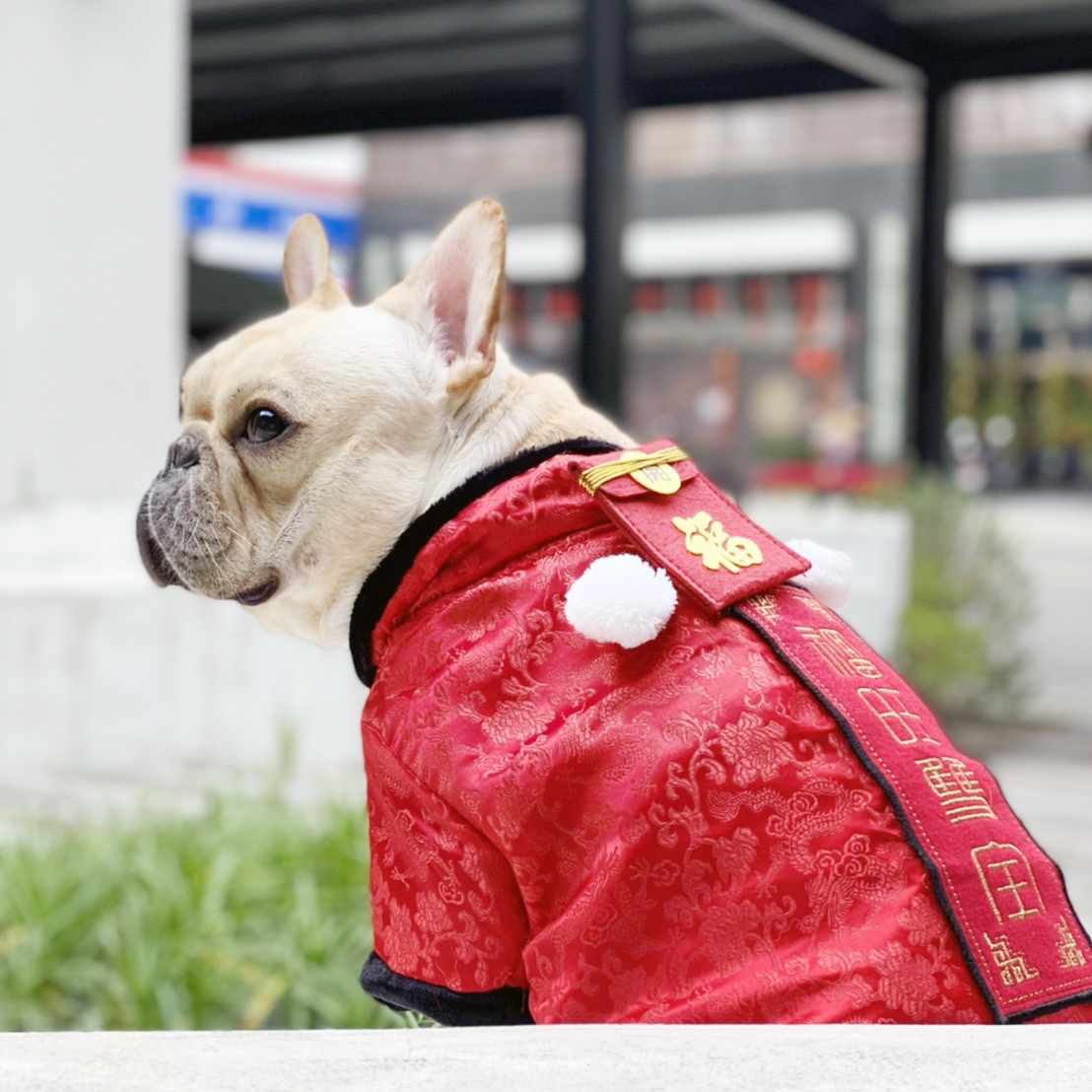 新春寵物中國風保暖唐裝