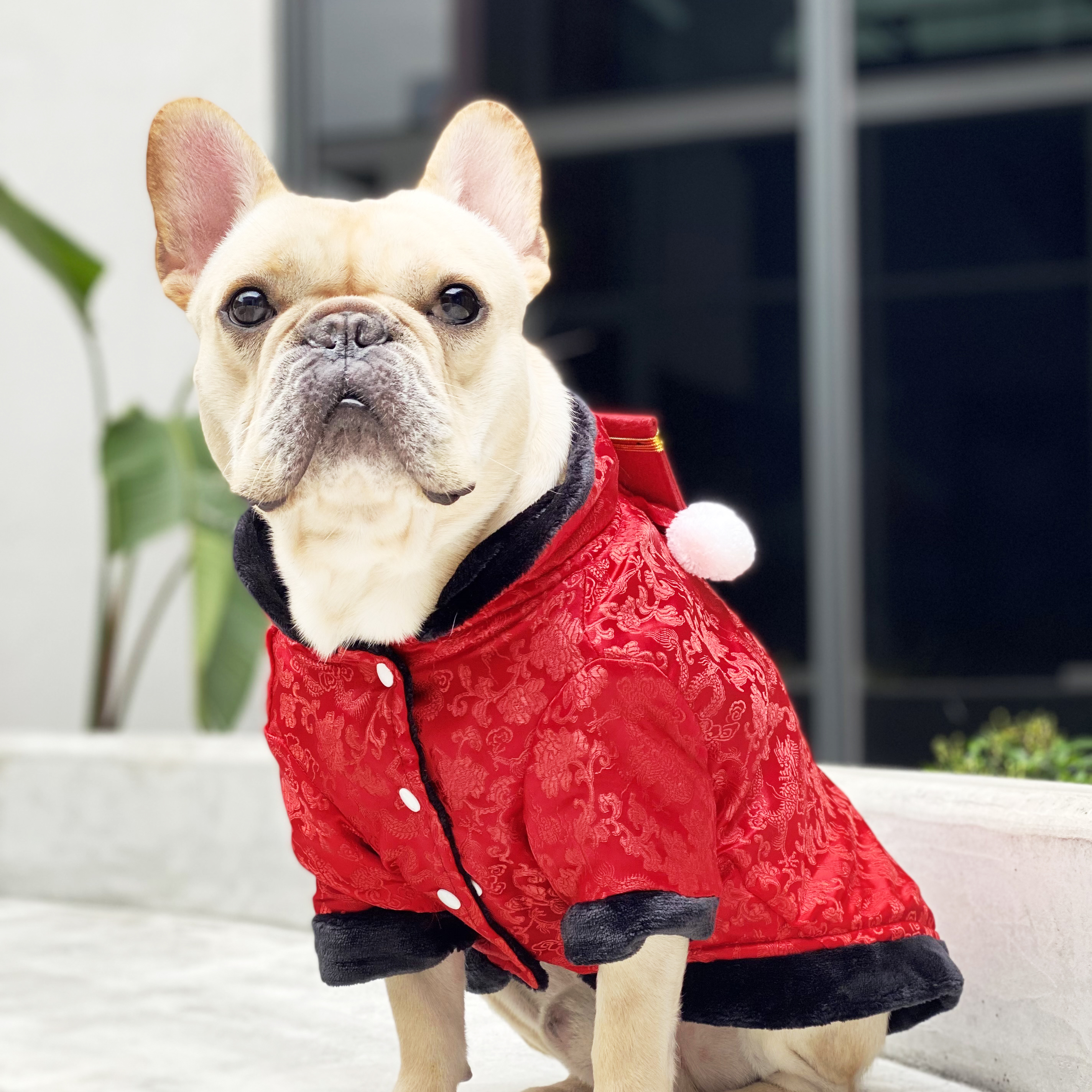 新春寵物中國風保暖唐裝