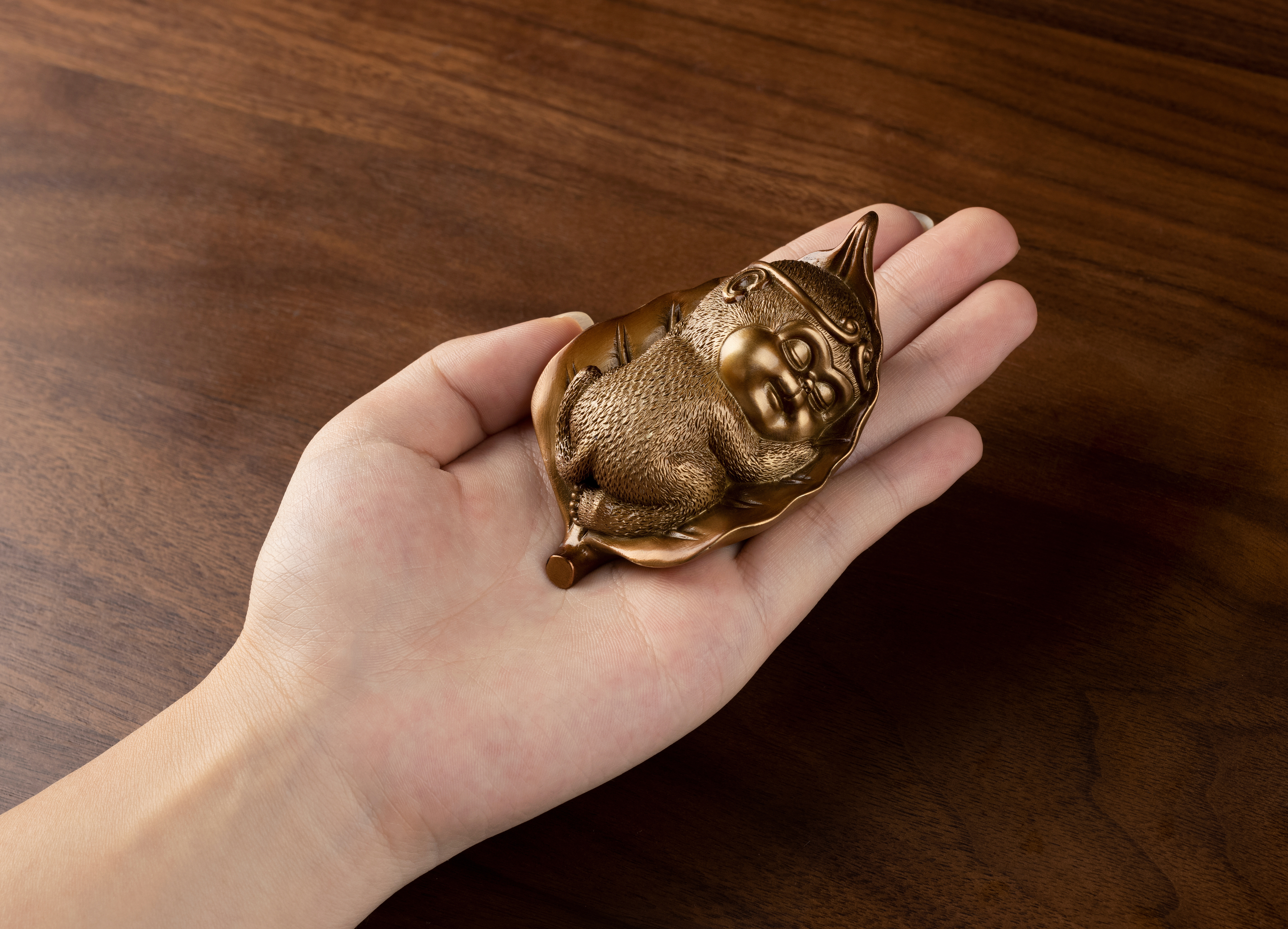 心有菩提(一夜封侯)◇已停產◇