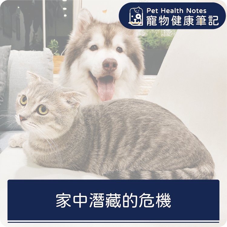 台灣,世界,貓,狗,健康,寵物,品牌,注意,飲食,專業,知識,獸醫,健康食品,寵物健康筆記