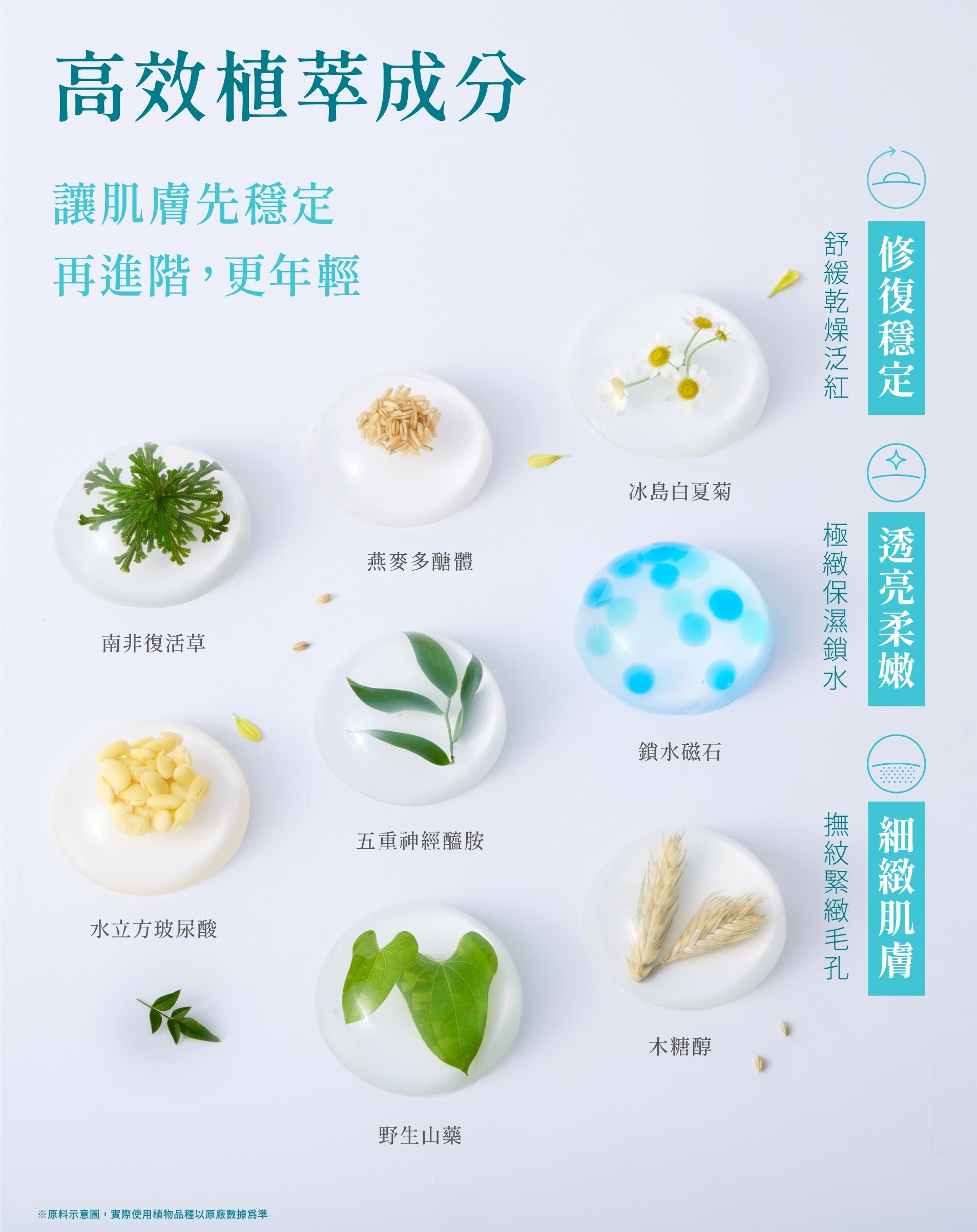 Z研-植物原料-植效精準修復技術