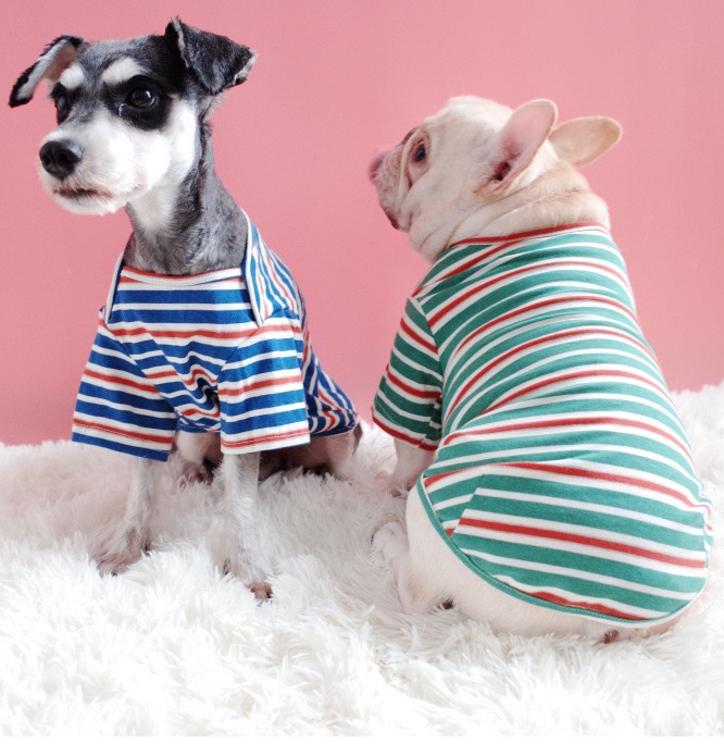 彩色細條紋寵物衣