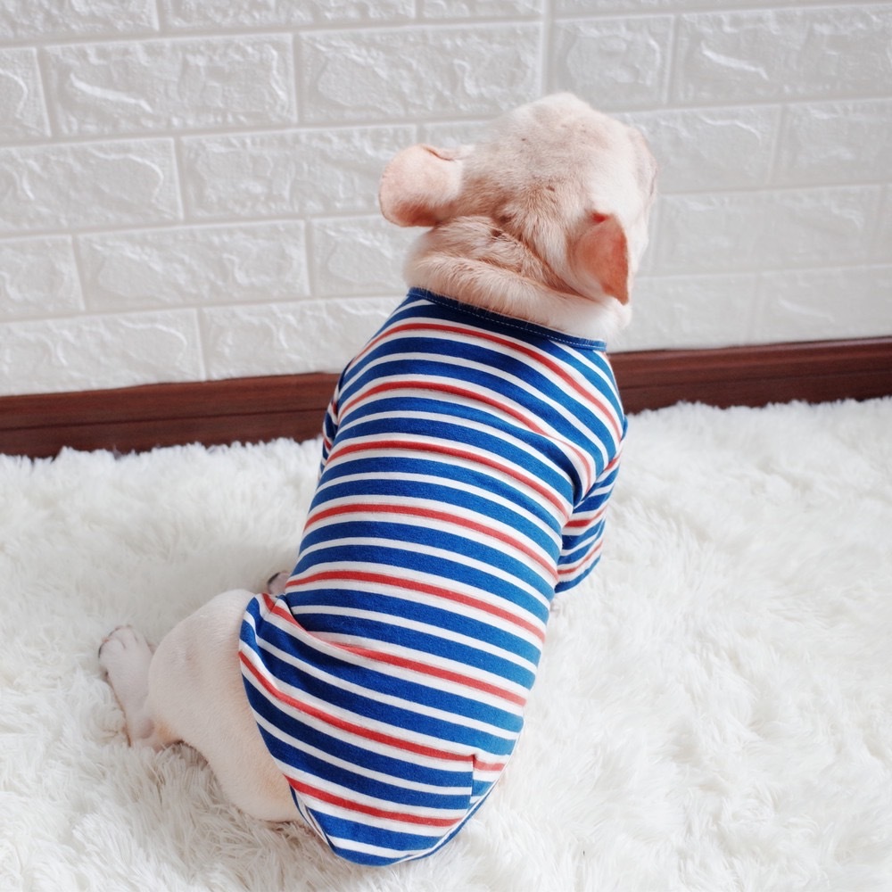 彩色細條紋寵物衣