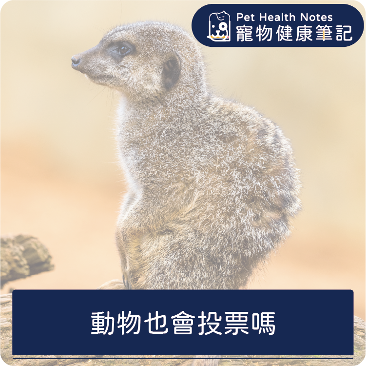 台灣,世界,投票,公投,健康,寵物,品牌,專業,知識,獸醫,健康食品,寵物健康筆記