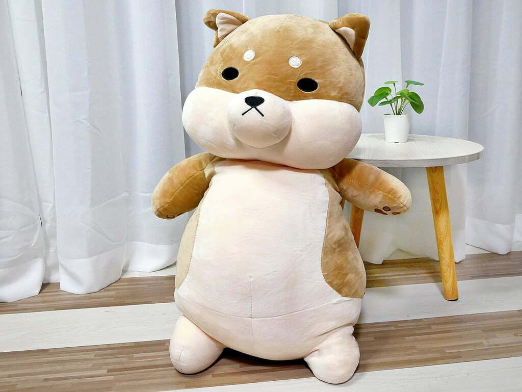 玉媽咪好食生活誌推薦傲嘟嘟的柴之助，療癒又紓壓