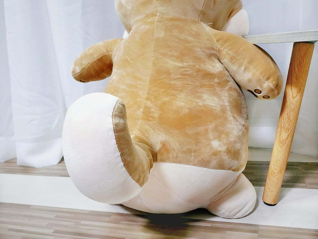 玉媽咪好食生活誌推薦傲嘟嘟的柴之助，療癒又紓壓