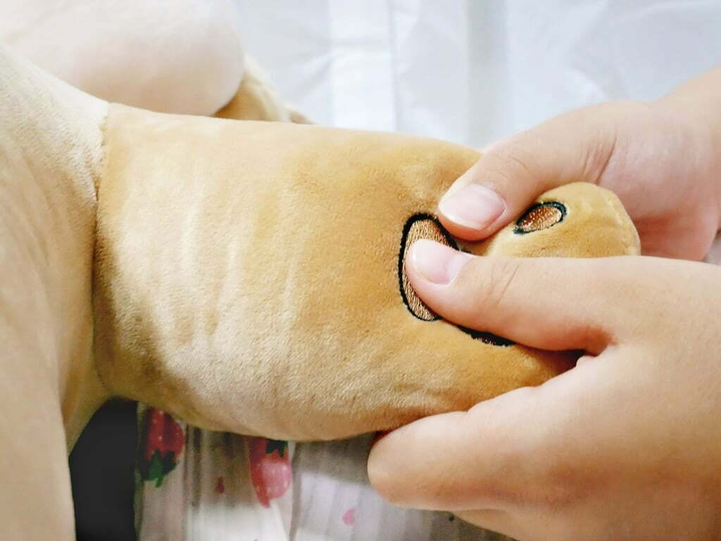 玉媽咪好食生活誌推薦傲嘟嘟的柴之助，療癒又紓壓