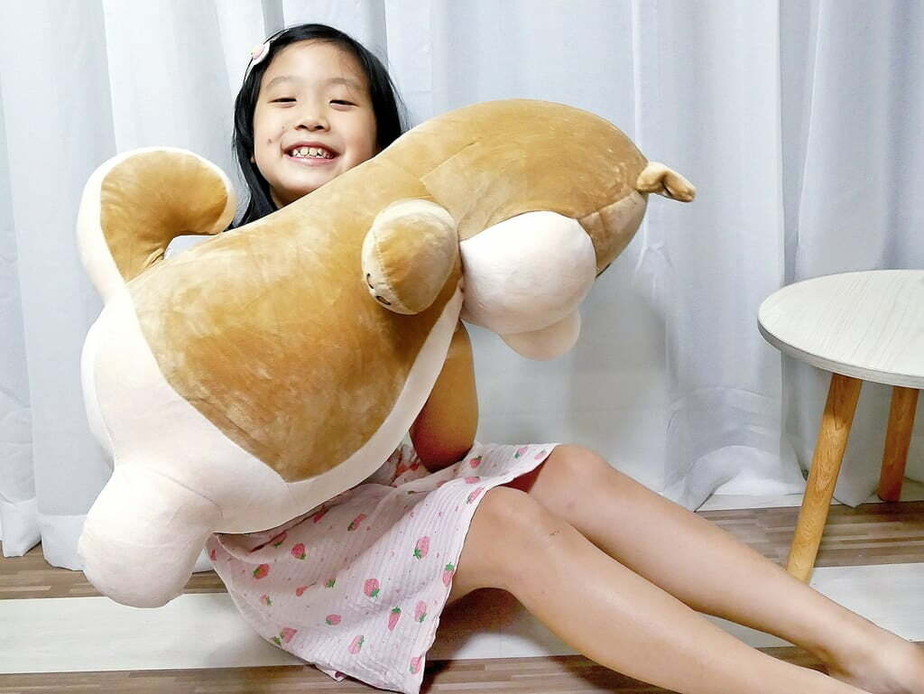 玉媽咪好食生活誌推薦傲嘟嘟的柴之助，療癒又紓壓