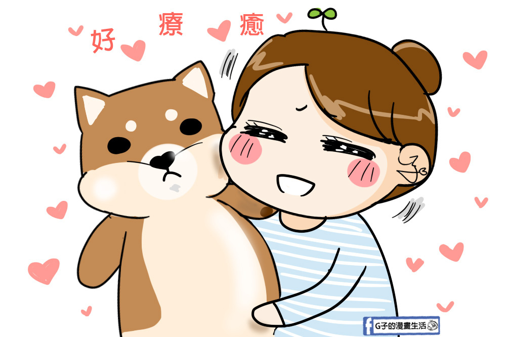 G子漫畫生活推薦傲嘟嘟的柴之助，單身狗瞬間紓壓