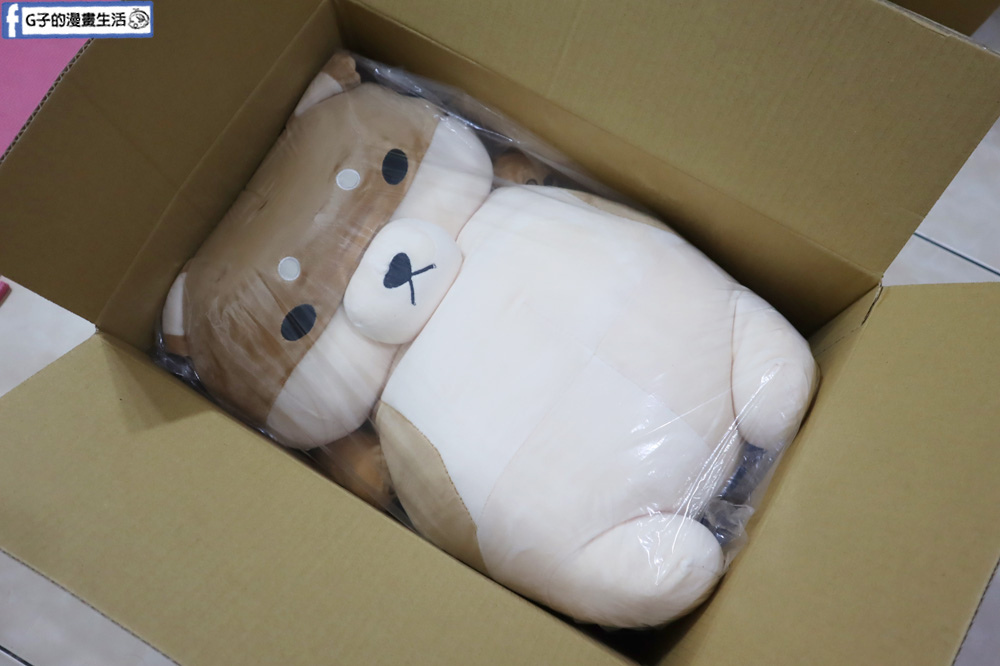 G子漫畫生活推薦傲嘟嘟的柴之助，單身狗瞬間紓壓