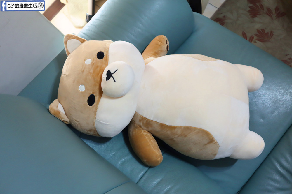 G子漫畫生活推薦傲嘟嘟的柴之助，單身狗瞬間紓壓