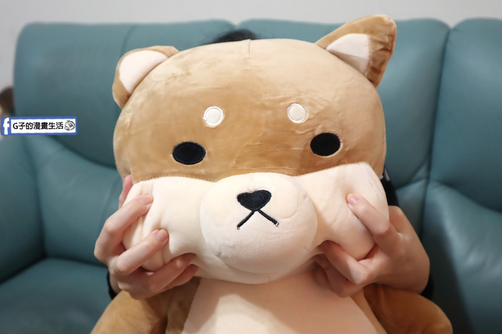 G子漫畫生活推薦傲嘟嘟的柴之助，單身狗瞬間紓壓