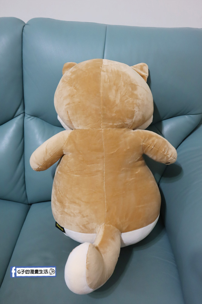 G子漫畫生活推薦傲嘟嘟的柴之助，單身狗瞬間紓壓