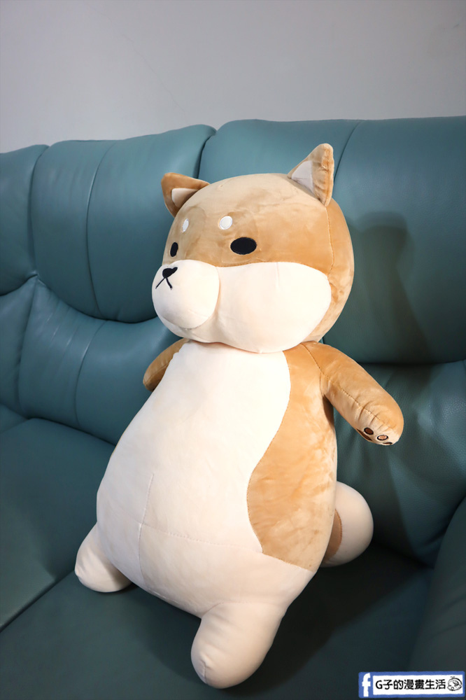 G子漫畫生活推薦傲嘟嘟的柴之助，單身狗瞬間紓壓