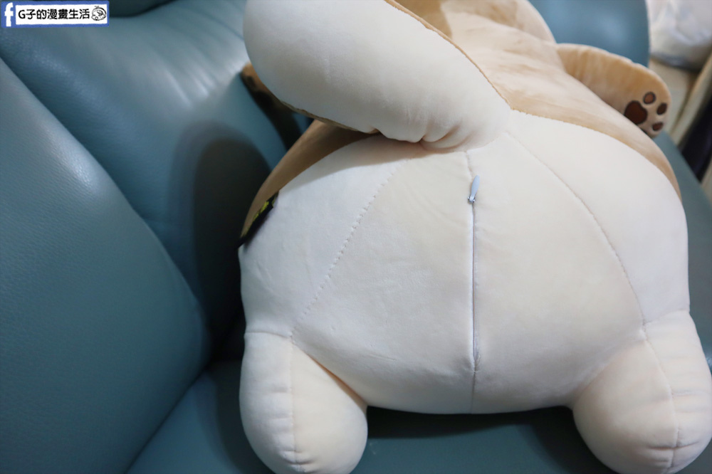 G子漫畫生活推薦傲嘟嘟的柴之助，單身狗瞬間紓壓