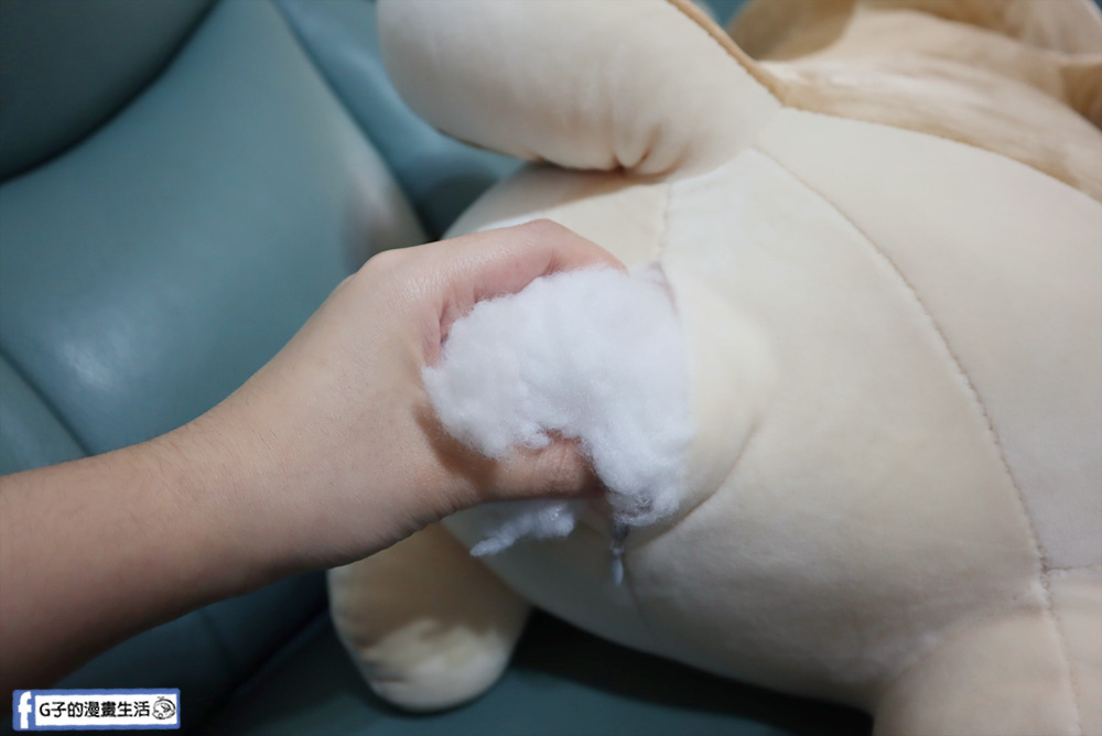 G子漫畫生活推薦傲嘟嘟的柴之助，單身狗瞬間紓壓