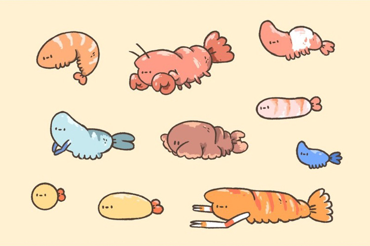 Crazy eyes 瘋狂眼珠｜明信片｜炸蝦圖鑑