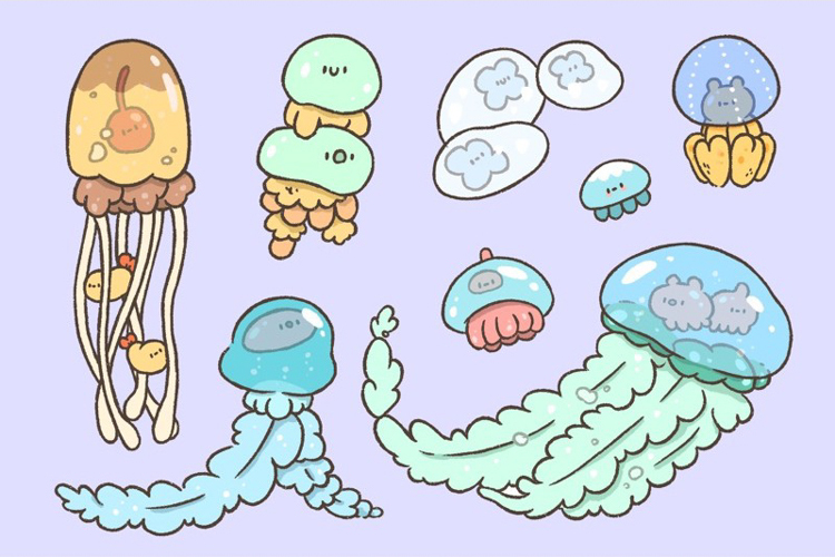 Crazy eyes 瘋狂眼珠｜明信片｜水母圖鑑